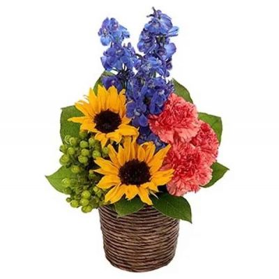 Bold & Beautiful sunflowers capture immediate attention in this imaginatively designed bouquet. Lovely blue delphinium, orange carnations and green hypericum augment the sunny design all brought together in a dark brown basket.