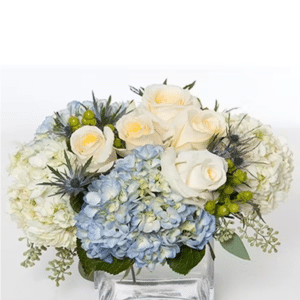 A beautiful arrangement of cream and blue flowers