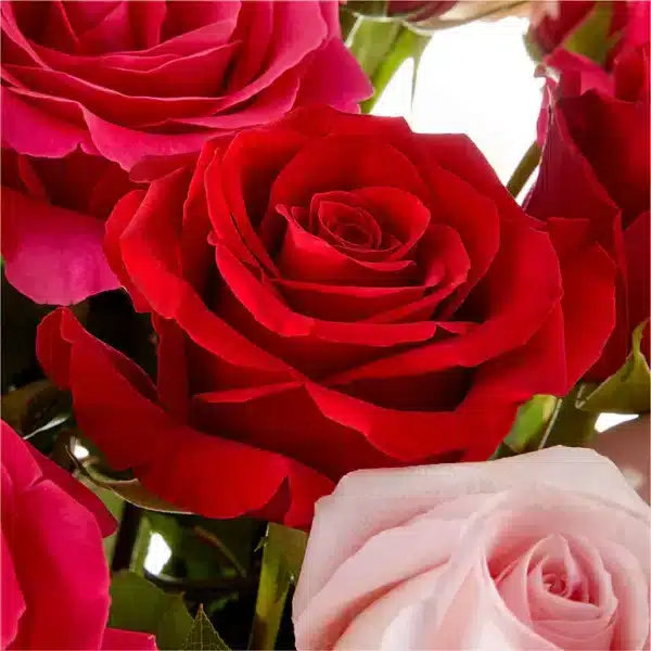 Love Notes Rose Bouquet - Image 2