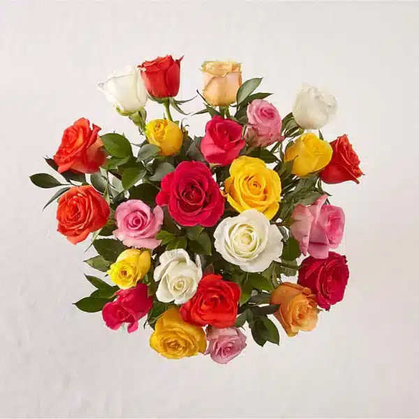 mixed roses