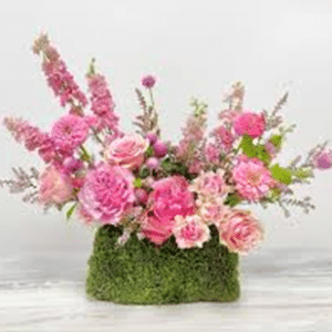whimsy in bloom