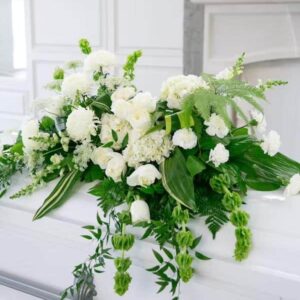 Elegant White