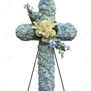 White and Blue Cross