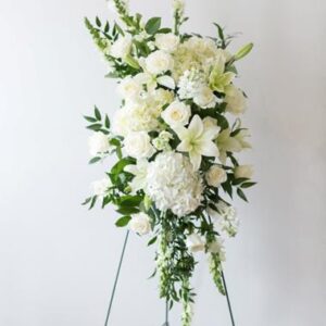 White Sympathy Spray